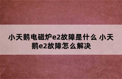 小天鹅电磁炉e2故障是什么 小天鹅e2故障怎么解决